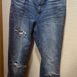 Madewell Women's High Rise Skinny Distressed Blue Jeans